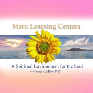 MERU LEARNING CENTERS - Guide