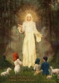 Mary, Directress of Fatima’s Healing Retreat 5x7