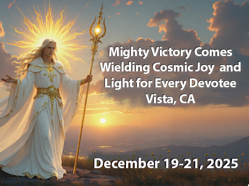 Onsite Attendance - 2025 Winter: A Solar Celebration with Mighty Victory