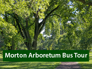 Morton Arboretum Bus Tour