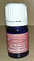 Rose Frequency Essential Oil