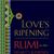 Love's Ripening:  Rumi on the Heart's Journey