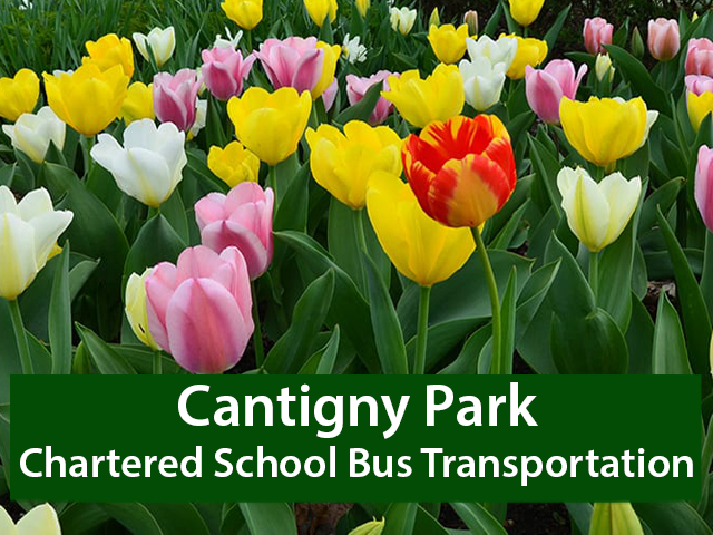 Cantigny Park Chartered School Bus Transportation