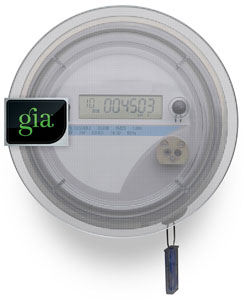 GIA Smart Meter Defender